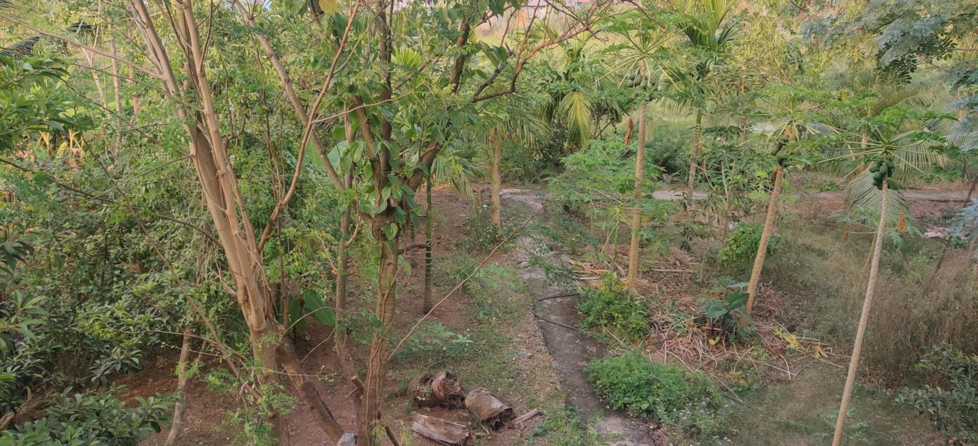 Gulmohar Cottages - Home Stay In Alībāg Extérieur photo