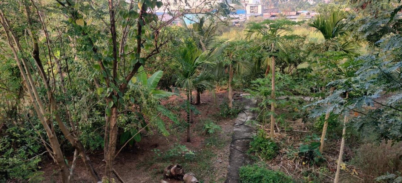 Gulmohar Cottages - Home Stay In Alībāg Extérieur photo
